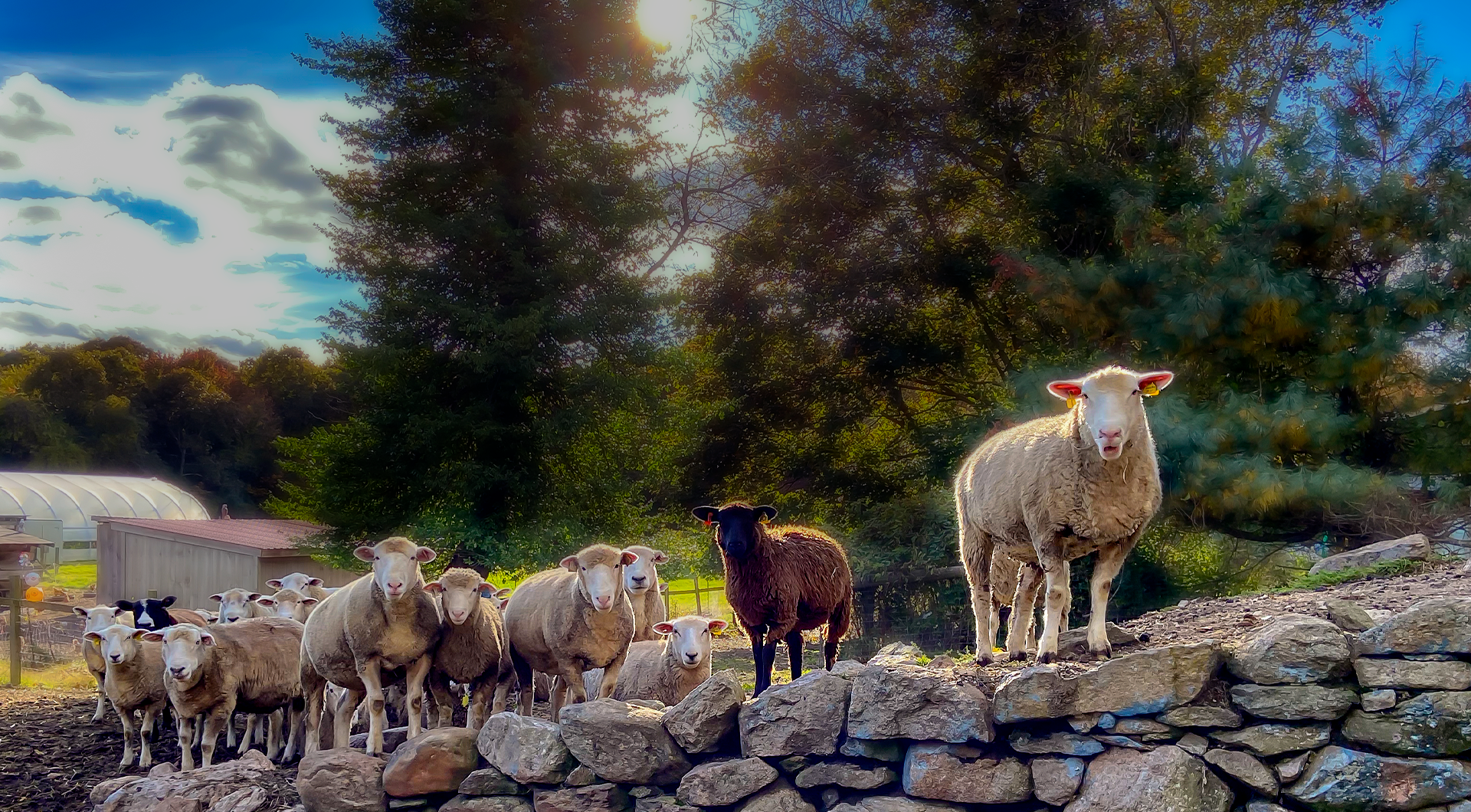 Since 2010 | Wakefield-RI